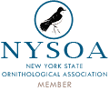 logo_nysoa